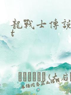 龙战士传说txt