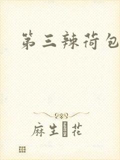 第三辣荷包网