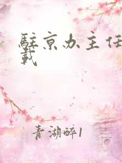 驻京办主任 下载