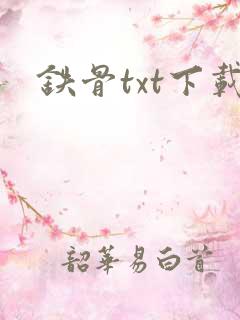 铁骨txt下载