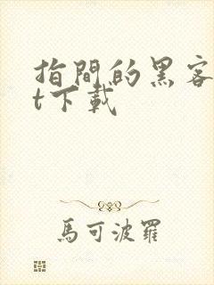 指间的黑客txt下载