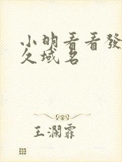 小明看看发布永久域名