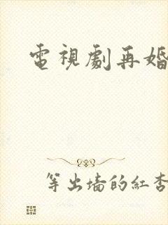 电视剧再婚家庭