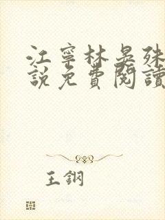 江宁林晏殊的小说免费阅读