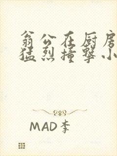 翁公在厨房和我猛烈撞击小说