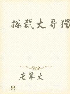 总裁大哥独宠妻