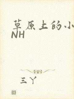 草原上的小公主NH