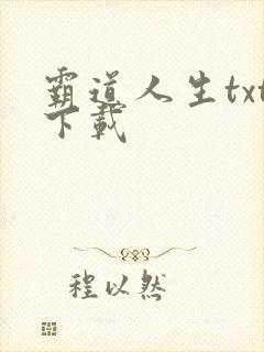 霸道人生txt下载