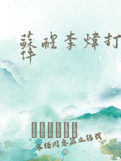 苏醒李炜打架事件