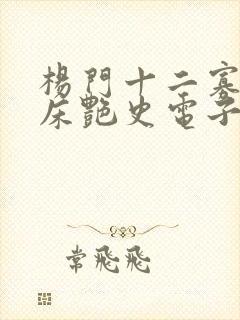 杨门十二寡妇肉床艳史电子书