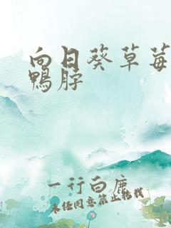 向日葵草莓丝瓜鸭脖