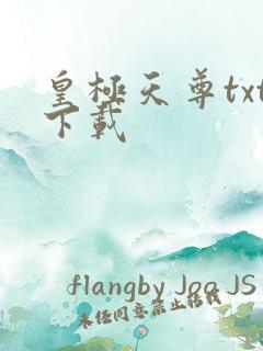 皇极天尊txt下载