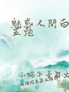 魅惑人间白洁挨五炮