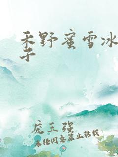 禾野蜜雪冰城本子