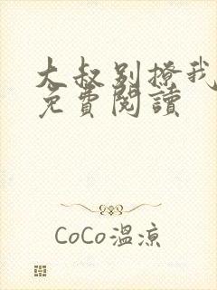 大叔别撩我小说免费阅读