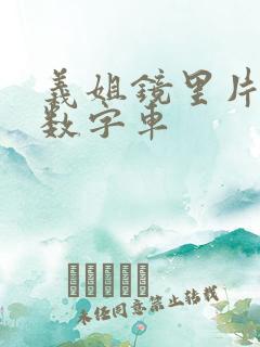 义姐镜里片微博数字车