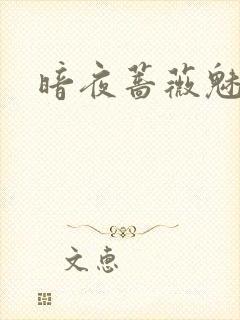 暗夜蔷薇魅之伤