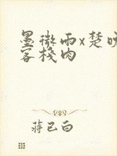 墨微雨x楚晚宁客栈肉