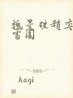 魏晨破赵奕欢的处图