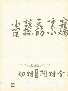 小说天价宠妻:霍总的小娇妻