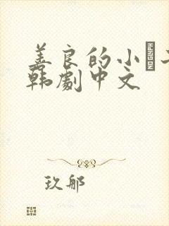 善良的小峓子2韩剧中文