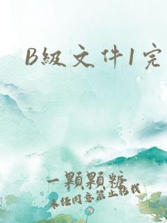 B级文件1完整