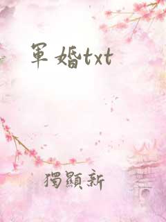 军婚txt