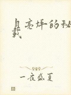 月亮坪的秘密下载