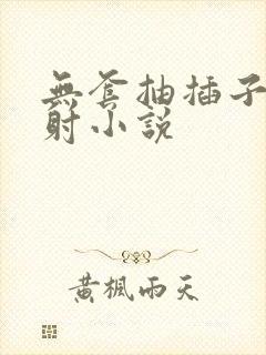 无套抽插子宫内射小说