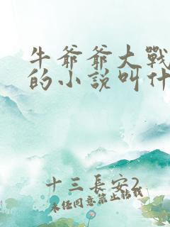 牛爷爷大战小丽的小说叫什么