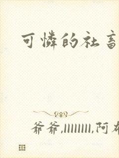 可怜的社畜小说