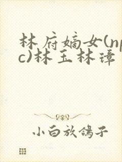林府嫡女(npc)林玉林璋