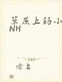 草原上的小公主NH