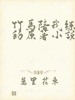 竹马陪我练技术的原著小说