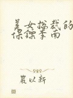 美女总裁的护花保镖李南