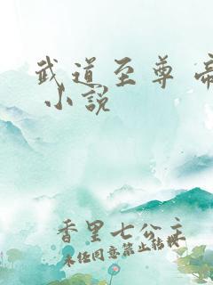 武道至尊 帝临 小说