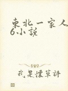 东北一家人1一6小说