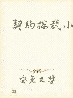 契约总裁小萌宝