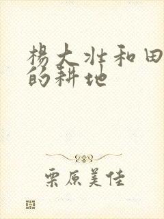 杨大壮和田桂花的耕地