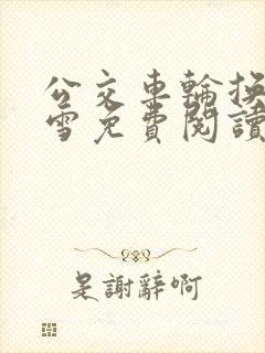 公交车轮换C程雪免费阅读