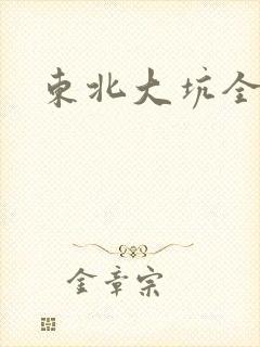 东北大坑全集