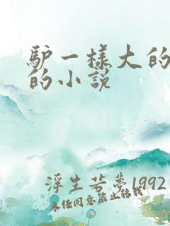 驴一样大的凶器的小说