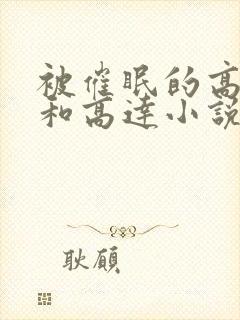 被催眠的高小柔和高达小说