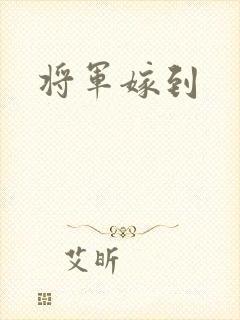 将军嫁到