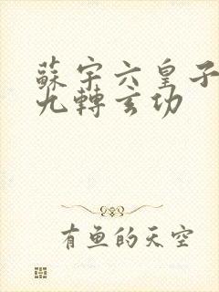 苏宇六皇子签到九转玄功