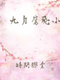 九月鹰飞小说