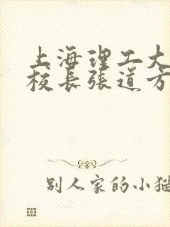 上海理工大学副校长张道方逝世