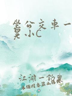 坐公交车一摇一晃小C