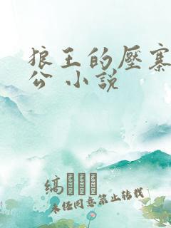 狼王的压寨小相公 小说