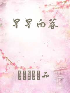星星向蓉